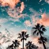 anavigil98